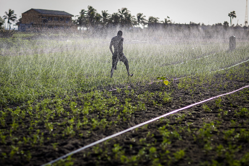 Sprinkler irrigation in Ghana