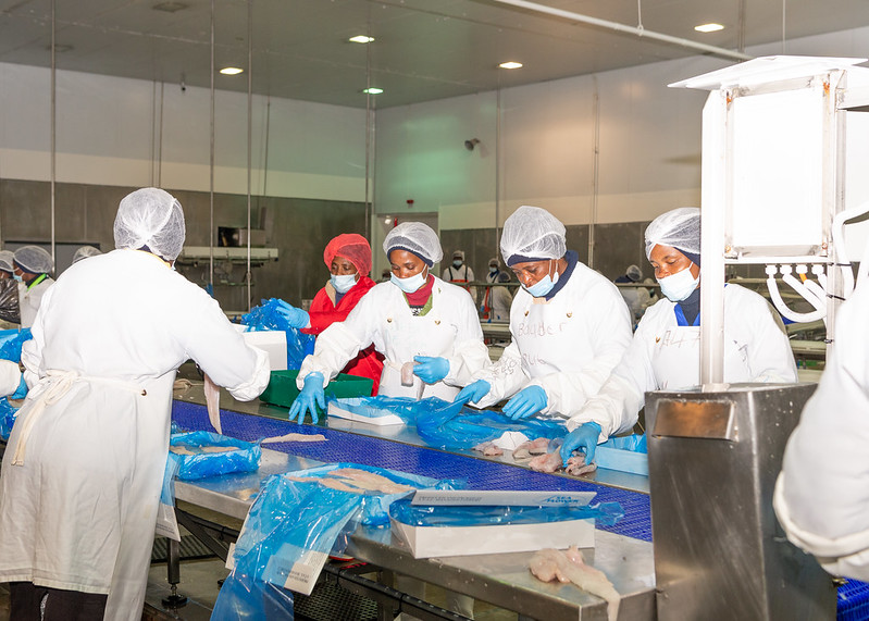 Hake processing in Namibia